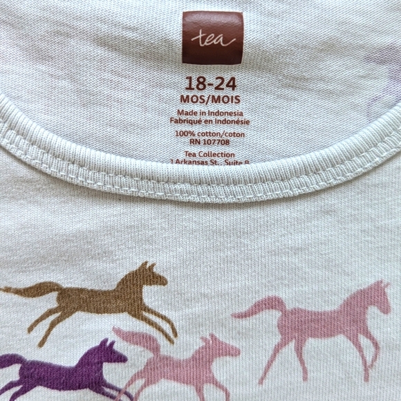 Tea Collection Wild Horses Long Sleeve Ruffle Hem Dress - Size 18-24M - Picture 3 of 6